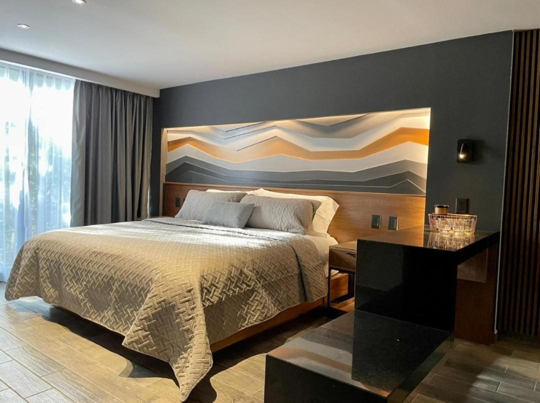 Estudio con cama extragrande