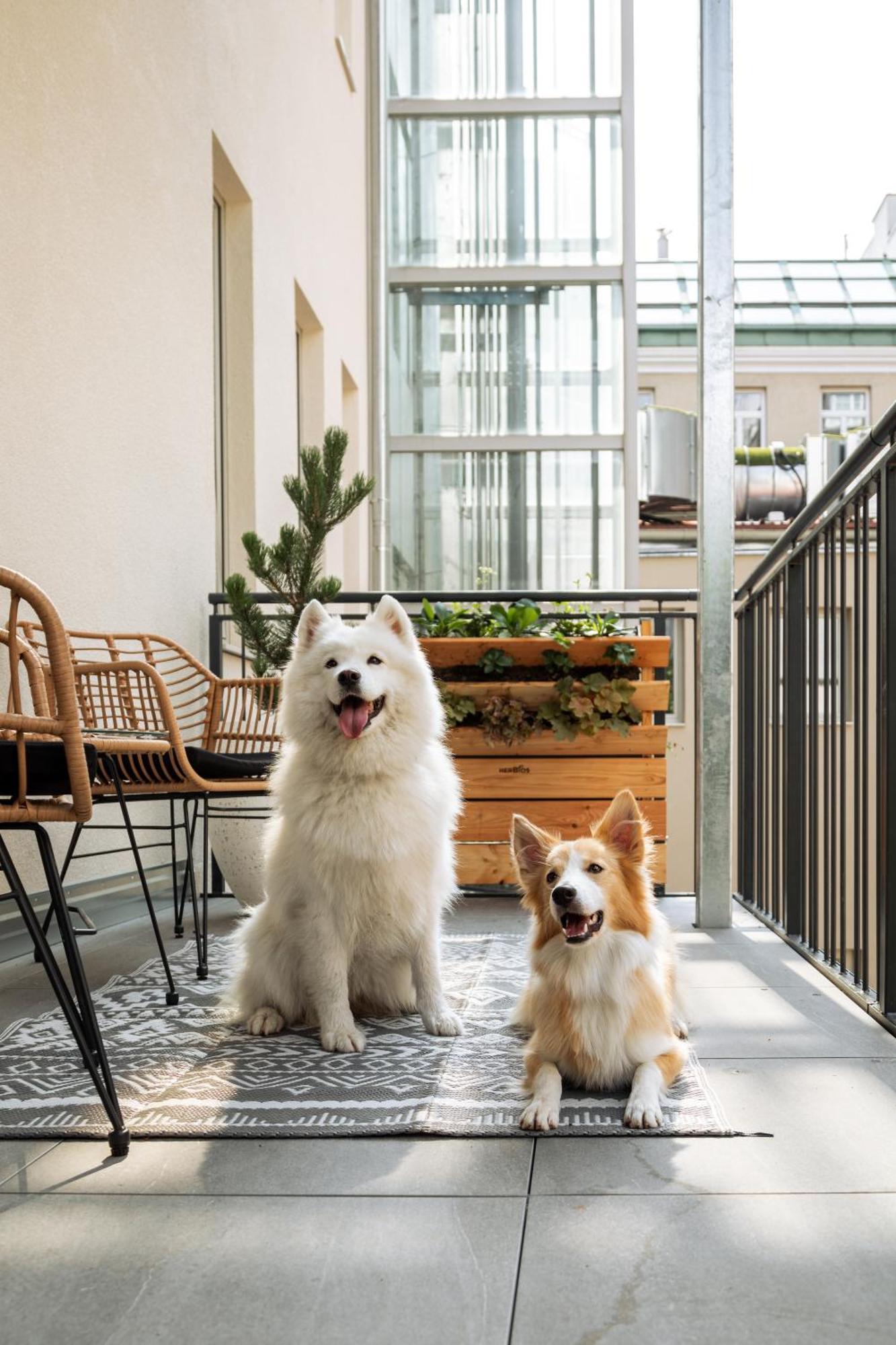 One Bedroom Apartment Balcony