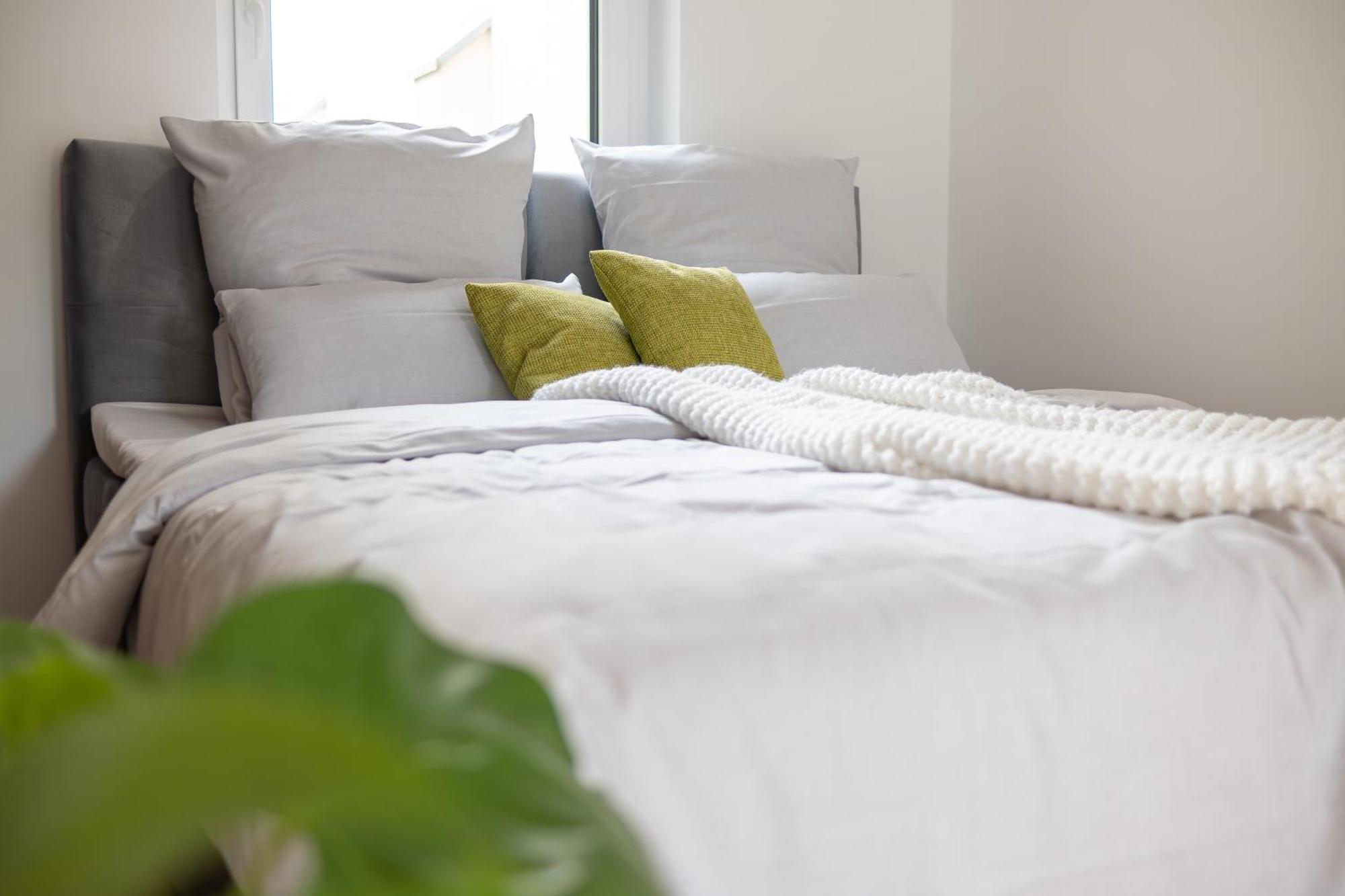 One-Bedroom Deluxe Apartment