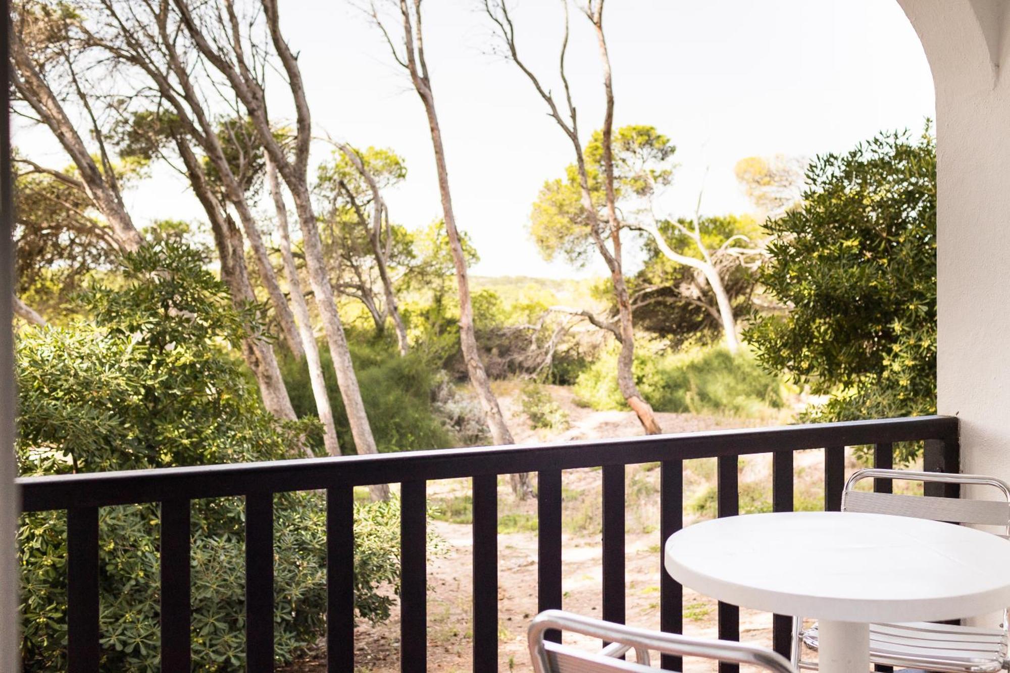 Apartment Garden View