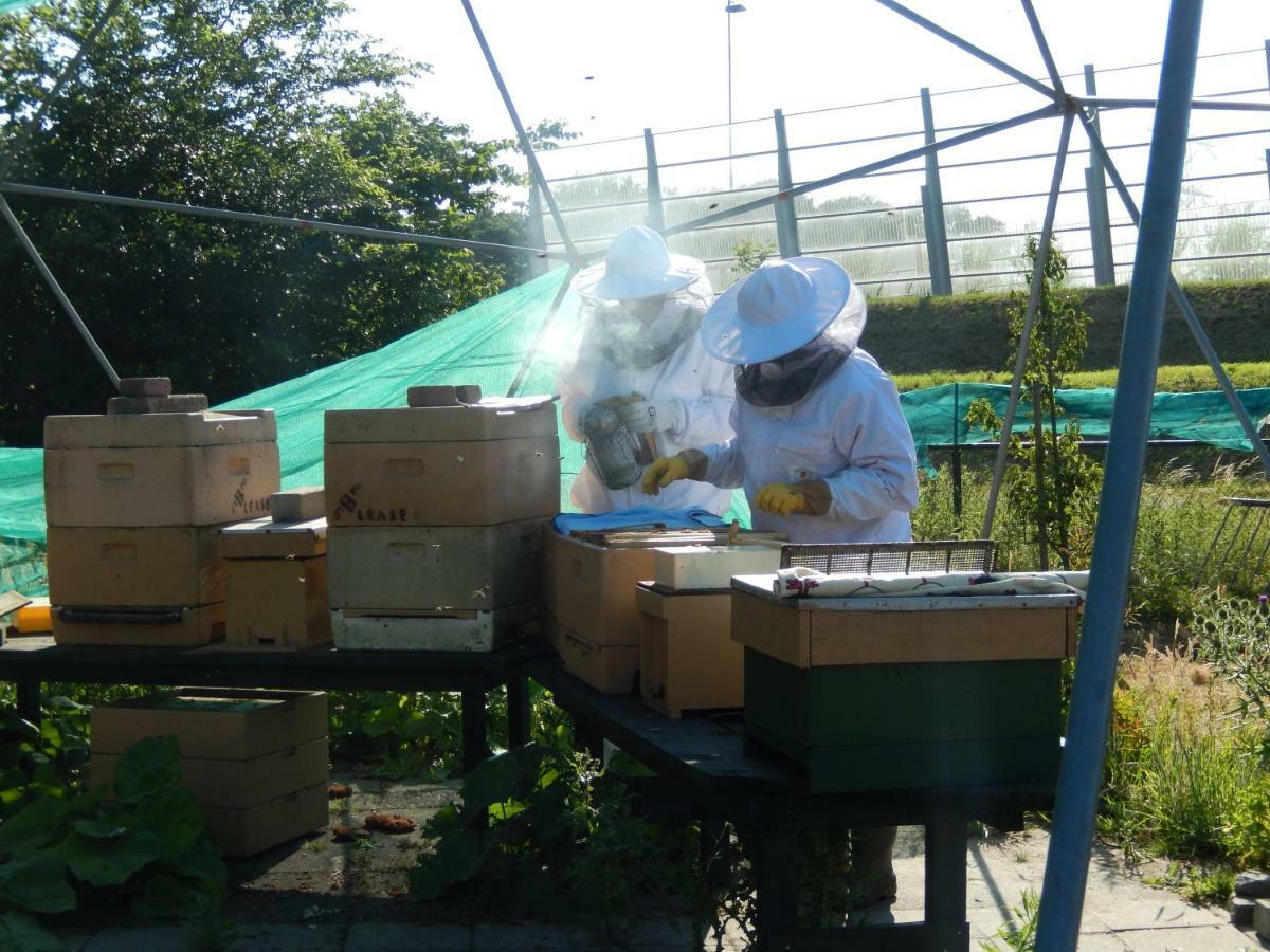 Three-Bedroom Apartment,852944483:JPEG