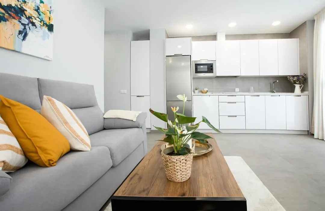 Apartamentos Ribera 19-1