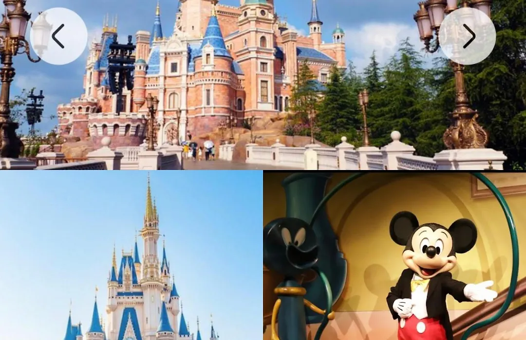 Momo Palace-1