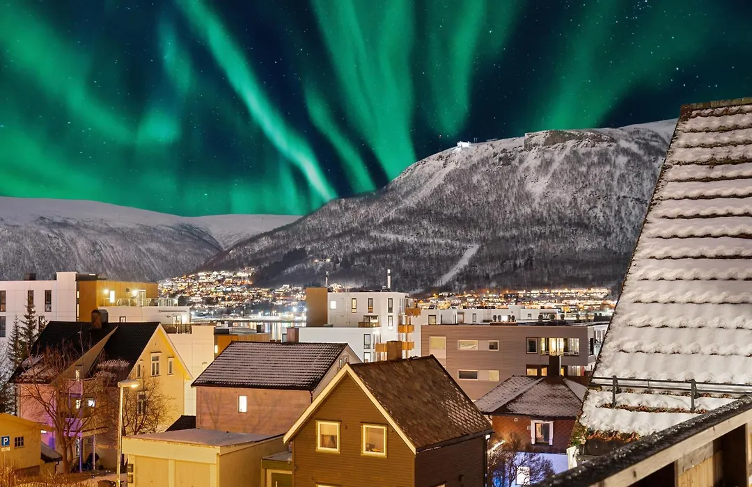 Arctic Homes - All Apartments-1