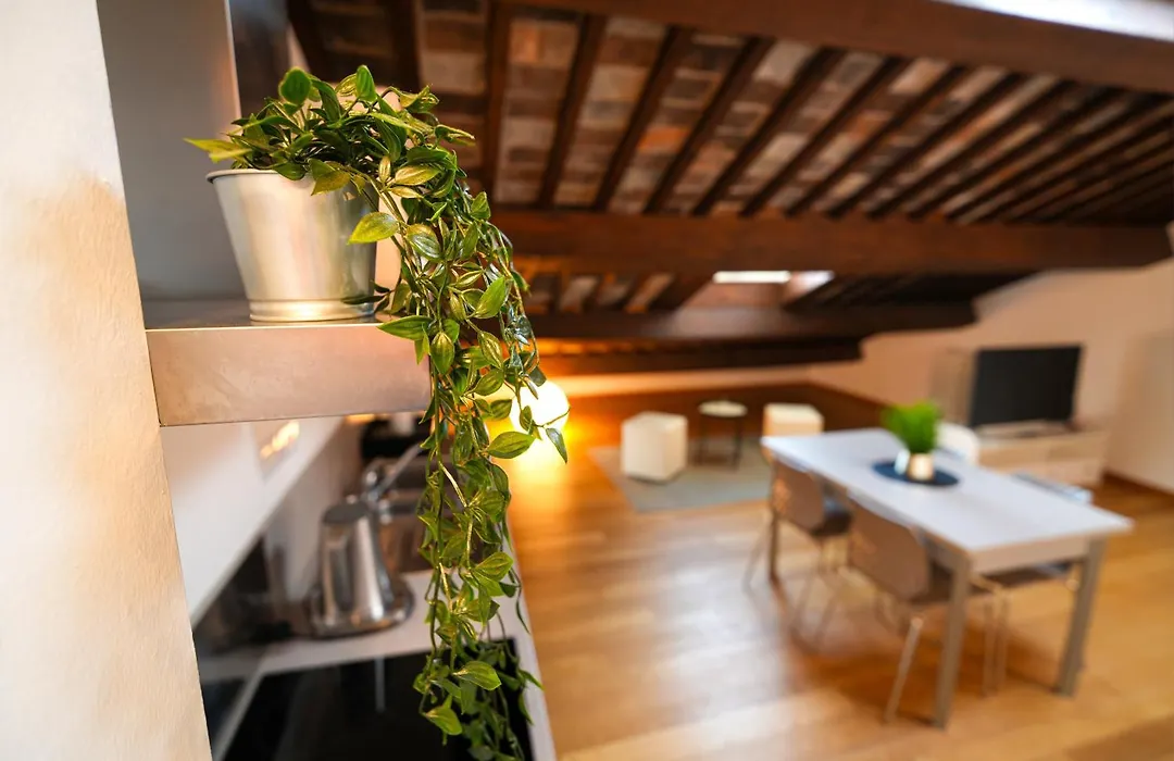 My Loft-1