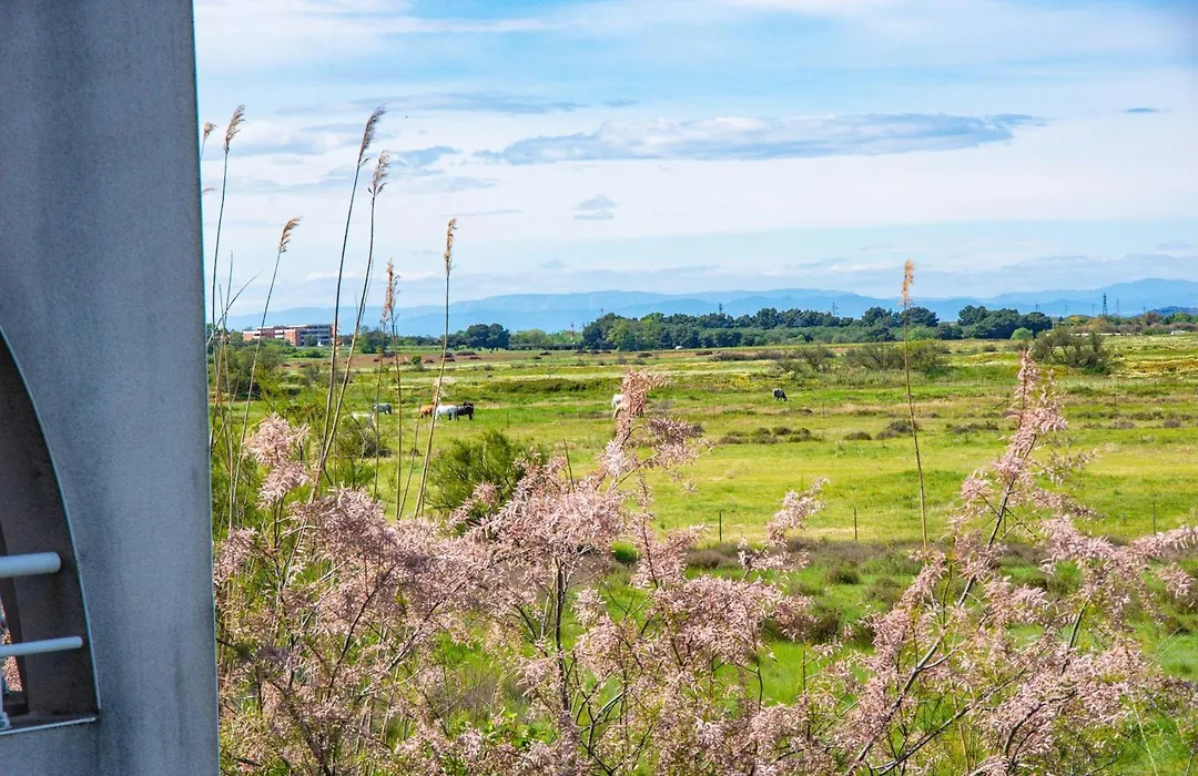 Residence Hoteliere Natureva & Spa-1