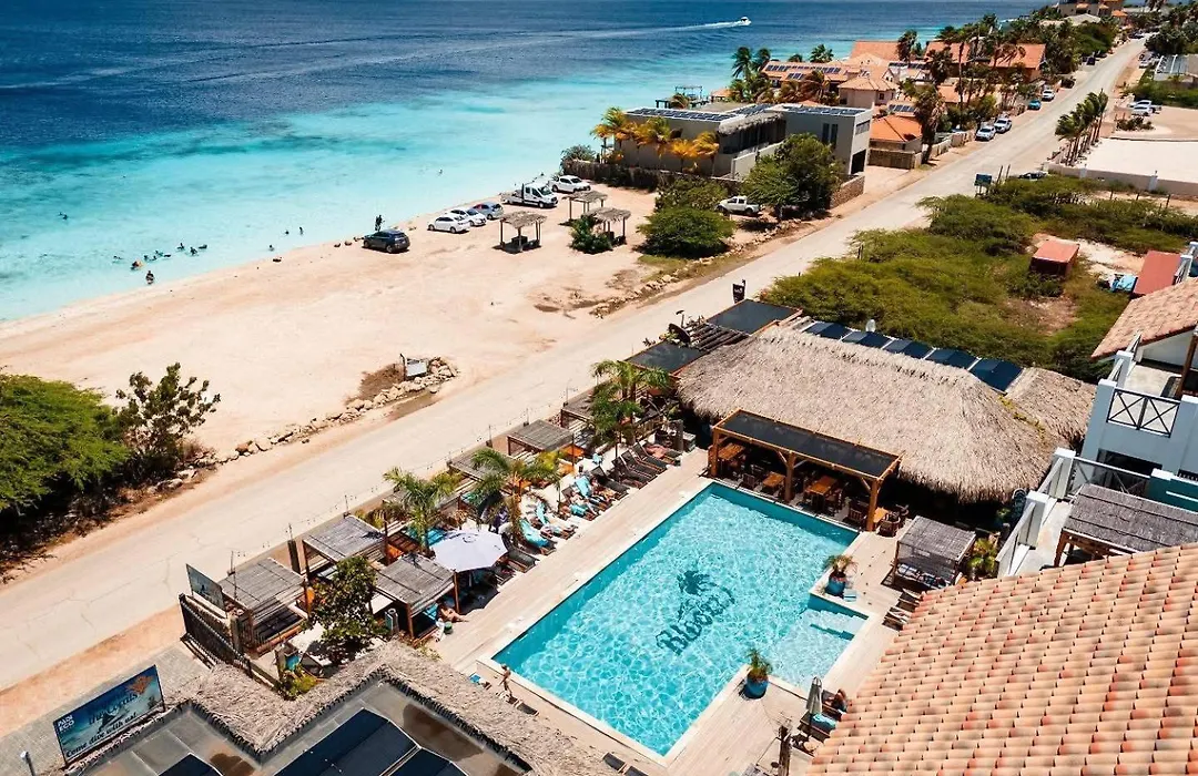 Bloozz Resort Bonaire-1