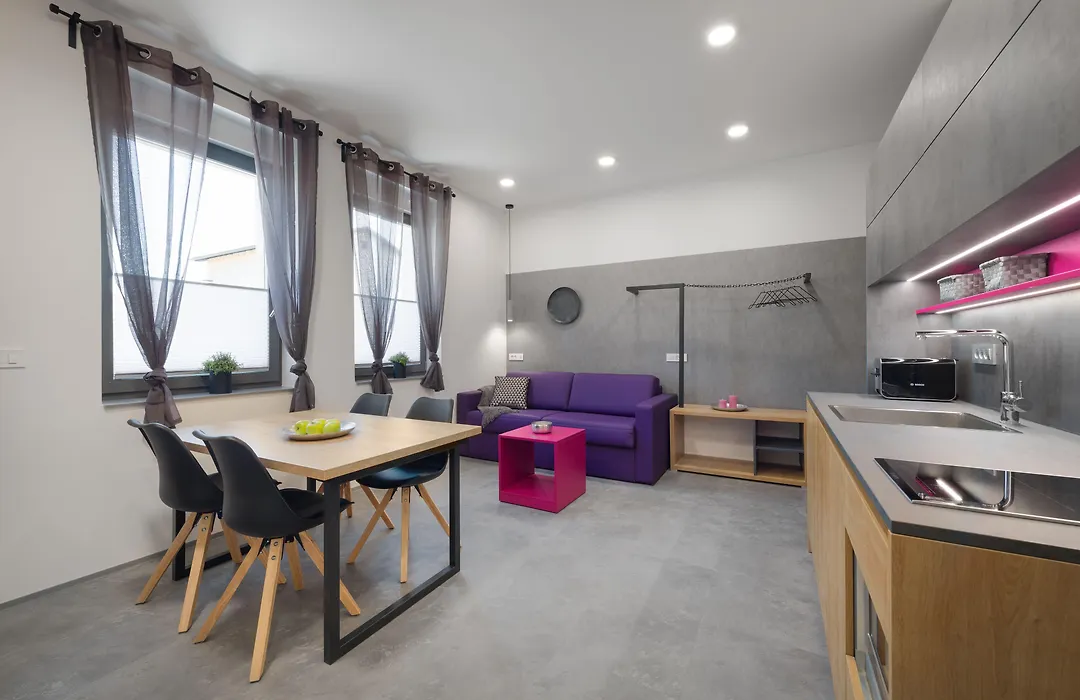 Vila Emona - Central Apartments - Free Parking-1