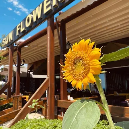 Sun Flower Apart Hotel-3