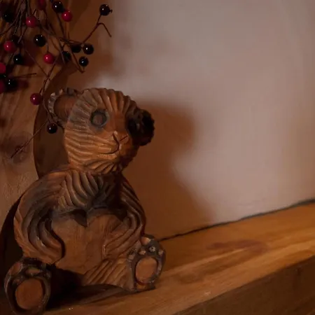 Ancolies Val Thorens-2