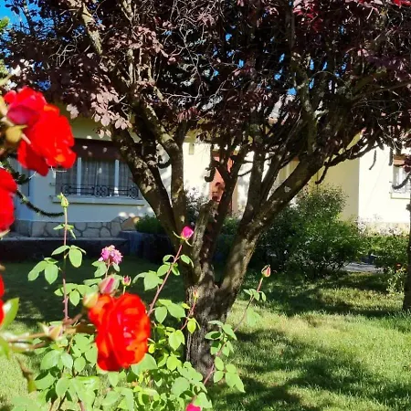 De las Rosas Bariloche-2