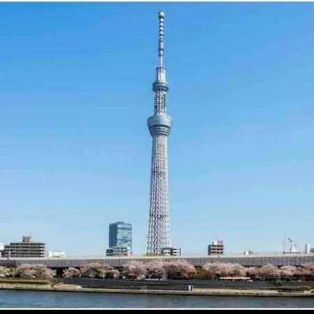 Momo Palace-3