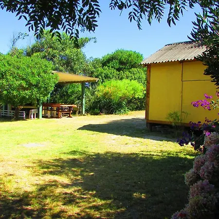 La Nueva Ensenada-3