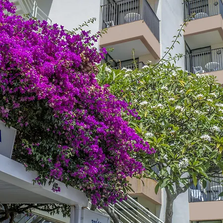 Dorisol Buganvilia Studio Hotel-2
