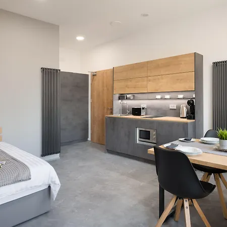 Vila Emona - Central Apartments - Free Parking-3