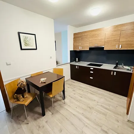 Prater Residence Apartment Budapest-2