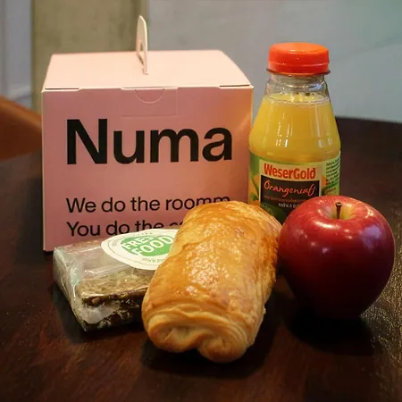 Numa Berlin Boxer-2