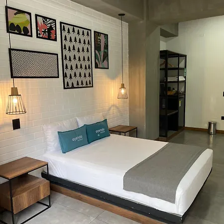 Loft 32 Medellin Living-3