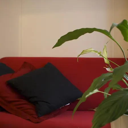 Olly Apartments-2