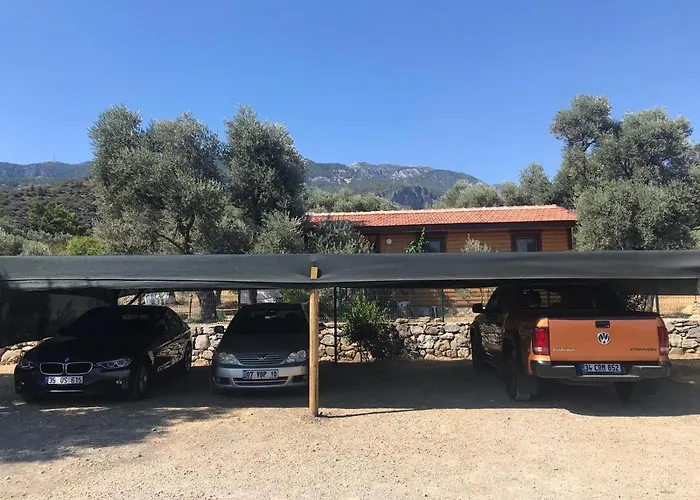 Oliva Casa Datca