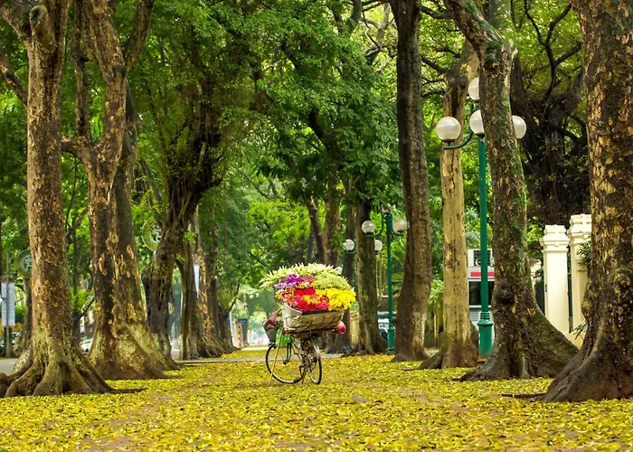Hotel with Tennis: Hanoi Center Silk Hotel & Travel