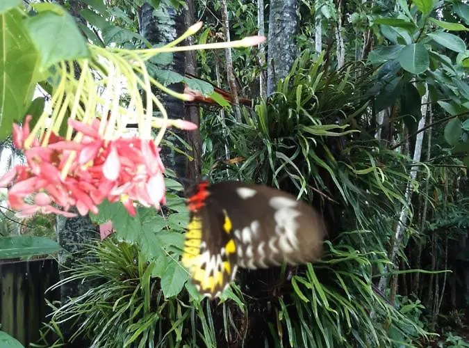 Hostel: Travellers Paradise