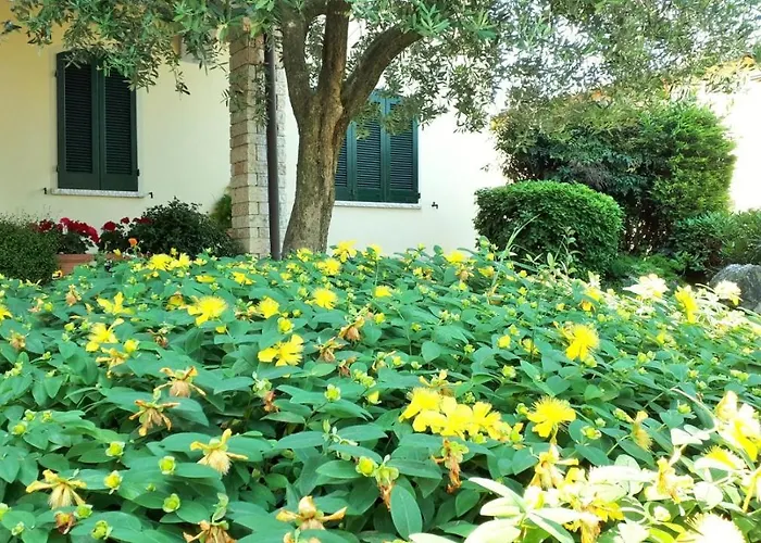 Resort: Albergo La Quiete
