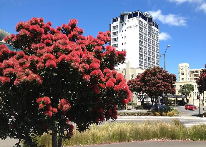 Bay Plaza