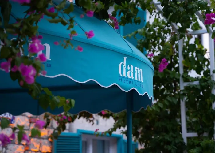 Hotel nahe College: Dam Hotel Lara