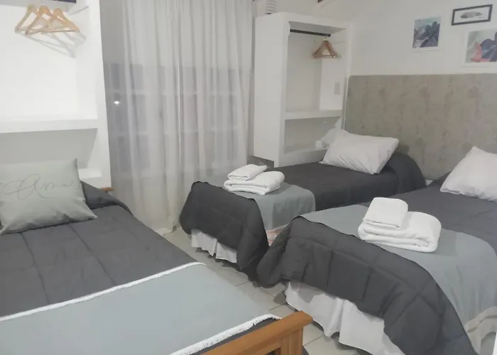 Perros hoteles Estrella Polar