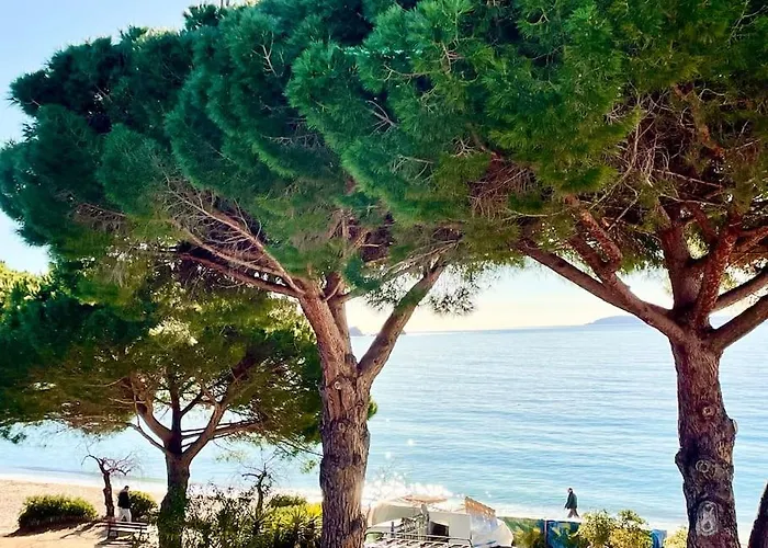 Appartement les pieds dans l'eau à Cavalière (Lavandou 83)