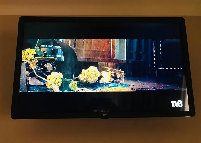 Hotel barato: Hotel Cruz De Aviz