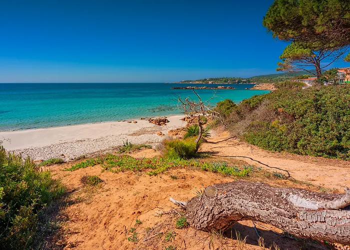 Best Selfcatering Vista Blu Resort