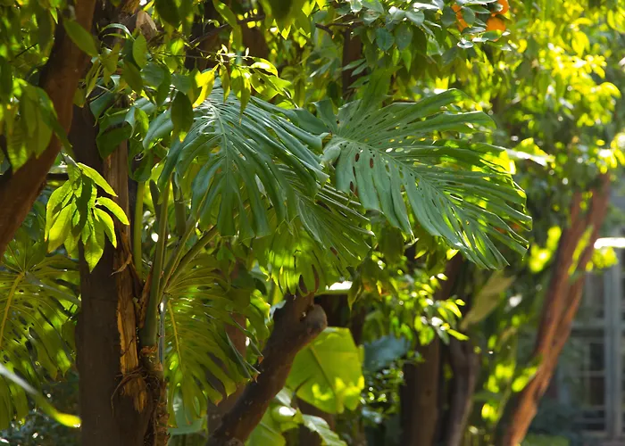 Familienhotel: Les Jardins De La Medina