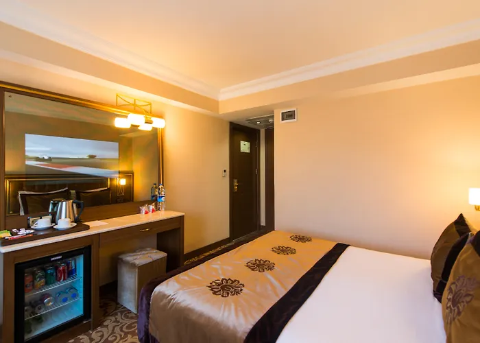 Dog friendly hotels Antea Oldcity -Special Category