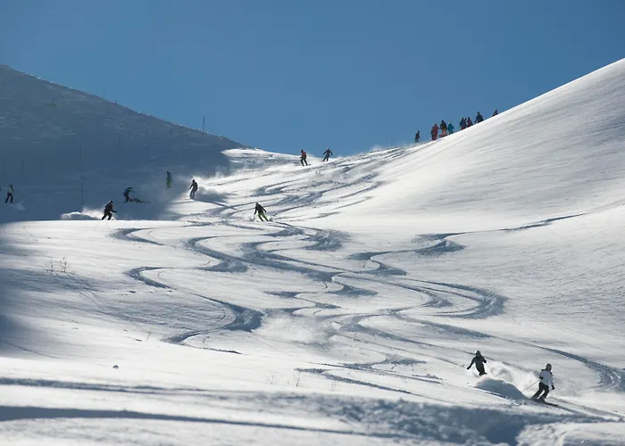 SOWELL Family Les Bergers