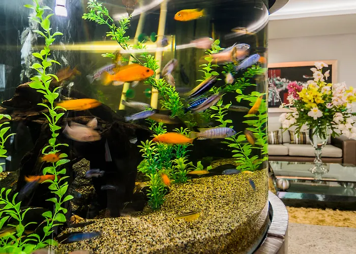 Boutique hotel only: Hotel Egina Medellin