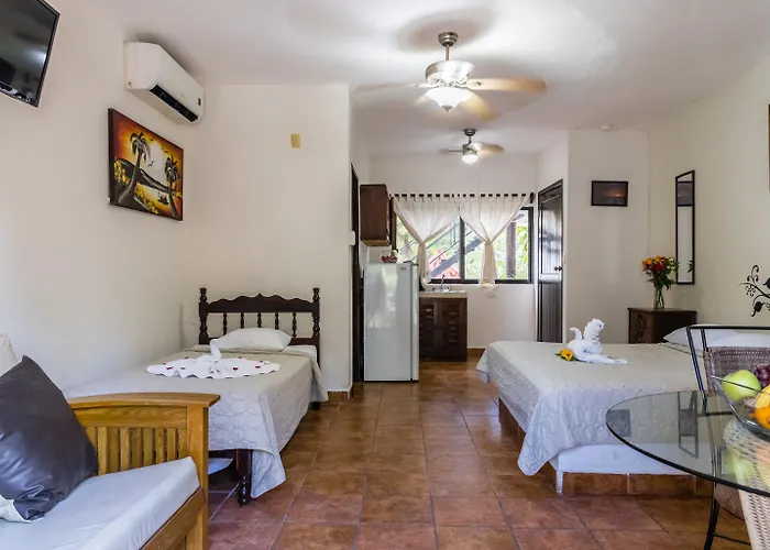 Hotel que admite mascotas: Moonshine Hotel