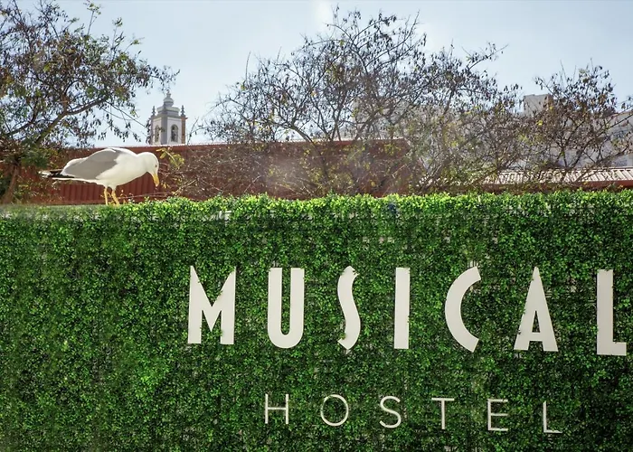  Musical