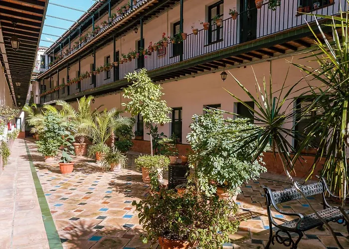 Con Encanto En Patio Sevillano