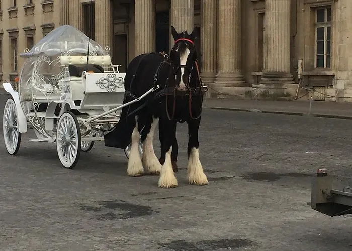 Residence Champ De Mars