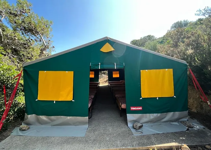 Hôtel accueillant les animaux: Relais International De La Jeunesse