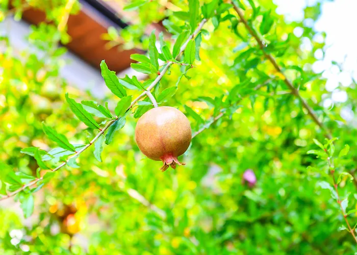 Strandhotel: Villa Sonata