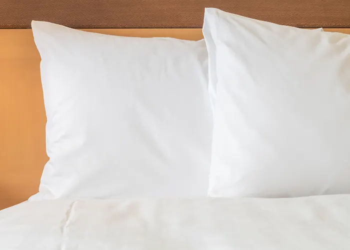 Hotel with Tennis: Holiday Inn Express Nashville Airport By Ihg