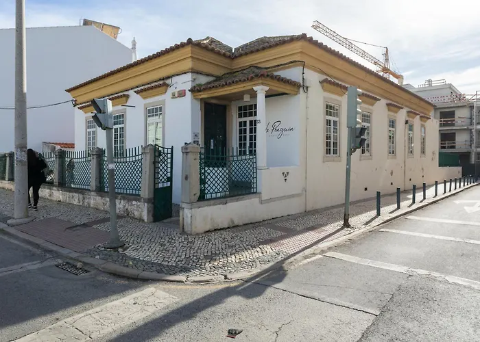 Le Penguin Hostel