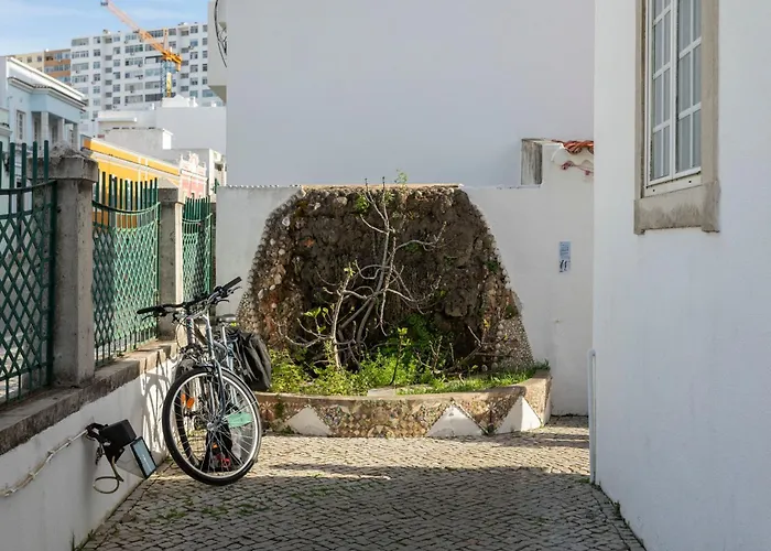 Le Penguin Hostel