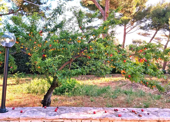 La villa: Villa Costanza