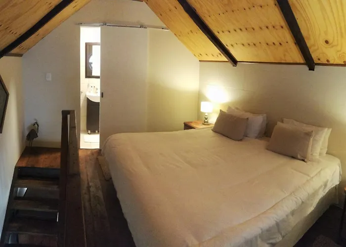 Guest house: Newlands Guest House