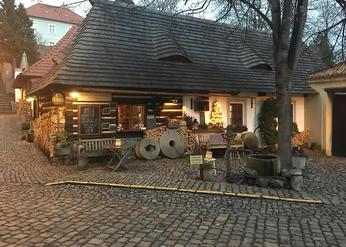 Hotel near College: Romantik Hotel U Raka