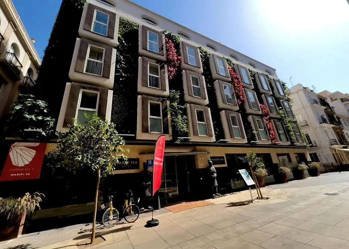 In Luxury hotels Mariposa Malaga